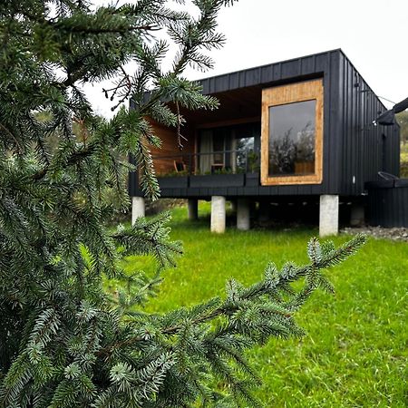 Brown Deer - Z Sauna Na Tarasie, Jacuzzi I Widokiem Na Gory - By Deer Hills Luxury Apartments Kocon Kültér fotó