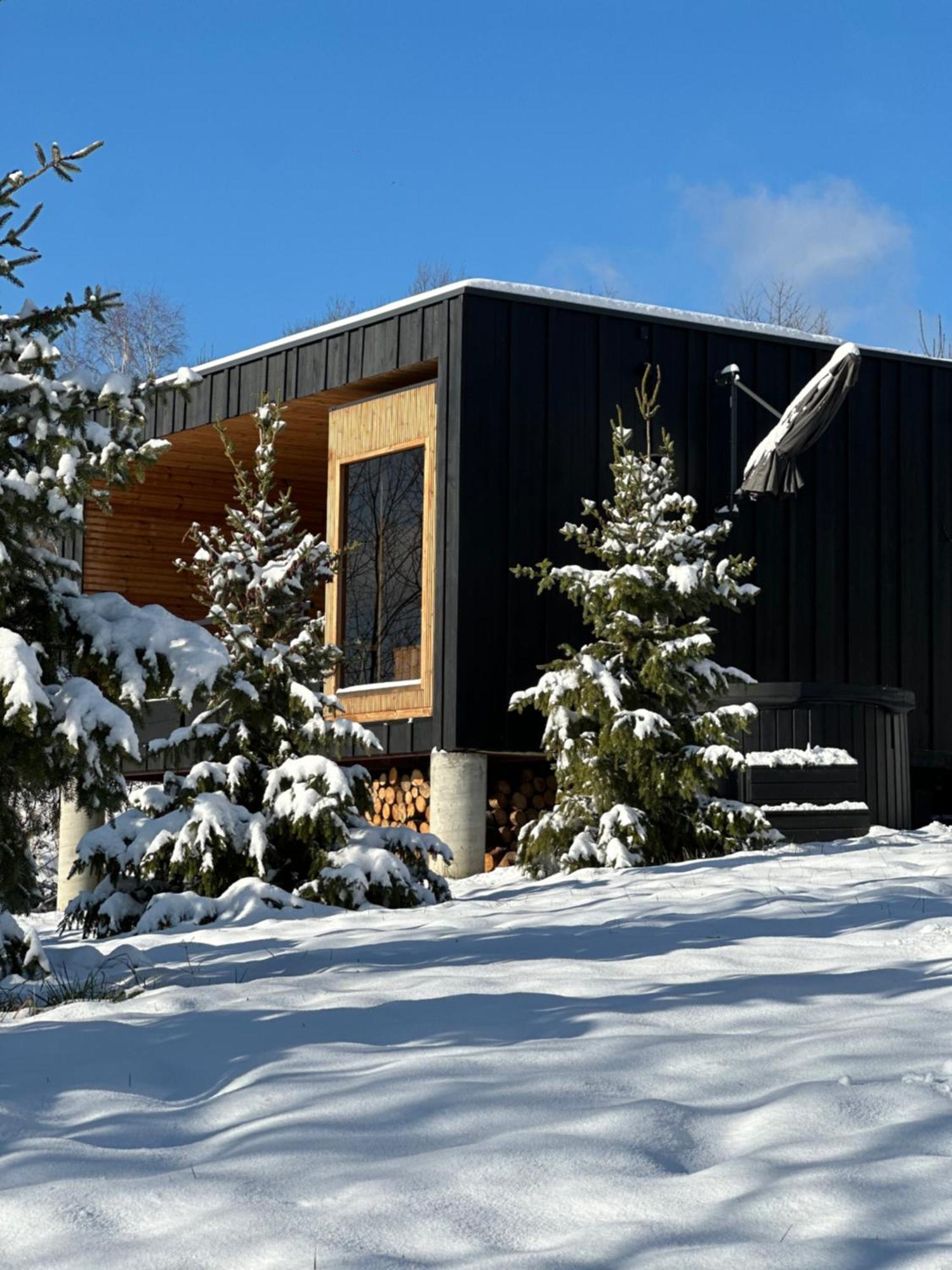 Brown Deer - Z Sauna Na Tarasie, Jacuzzi I Widokiem Na Gory - By Deer Hills Luxury Apartments Kocon Kültér fotó